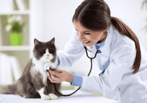 Booking System for Pet Clinics